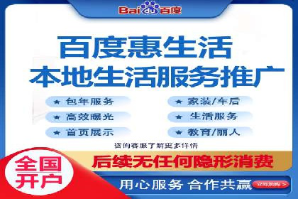 某电商平台的SEM广告投放策略及效果评估